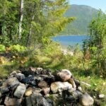 scène dans la nature montrant un feu pour le survivalisme