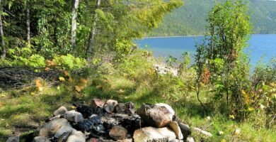 scène dans la nature montrant un feu pour le survivalisme
